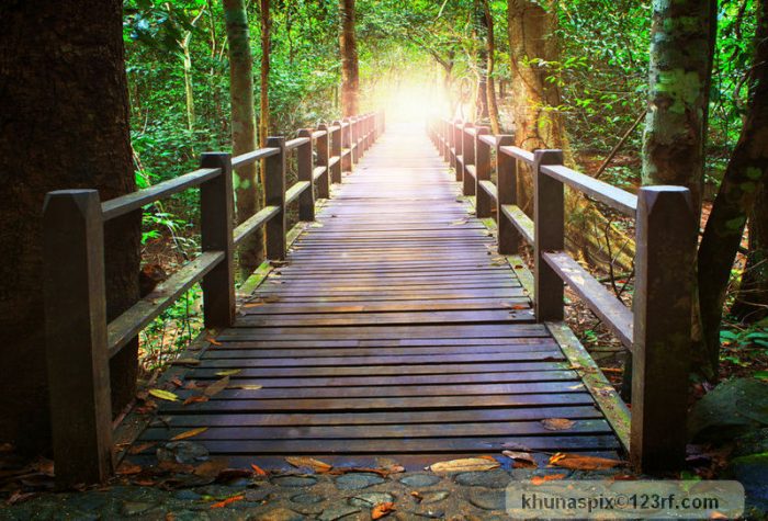 36229017 - perspective of wood bridge in deep forest crossing water stream and glowing light at the end of wooden ways; Copyright: khunaspix / 123RF Stock Photo