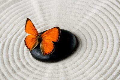 Zen stone with butterfly Image ID : 26929413 Copyright : Vetre Antanaviciute-Meskauskiene