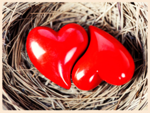 Model of two hearts fitting nicely together in a birds nest