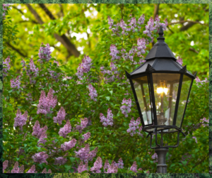 A peaceful garden with flowers and a warming gaslight.