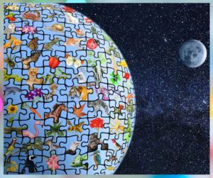 graphic of Earth as a globe made up on multicolored jigsaw pieces making up the whole floating in space